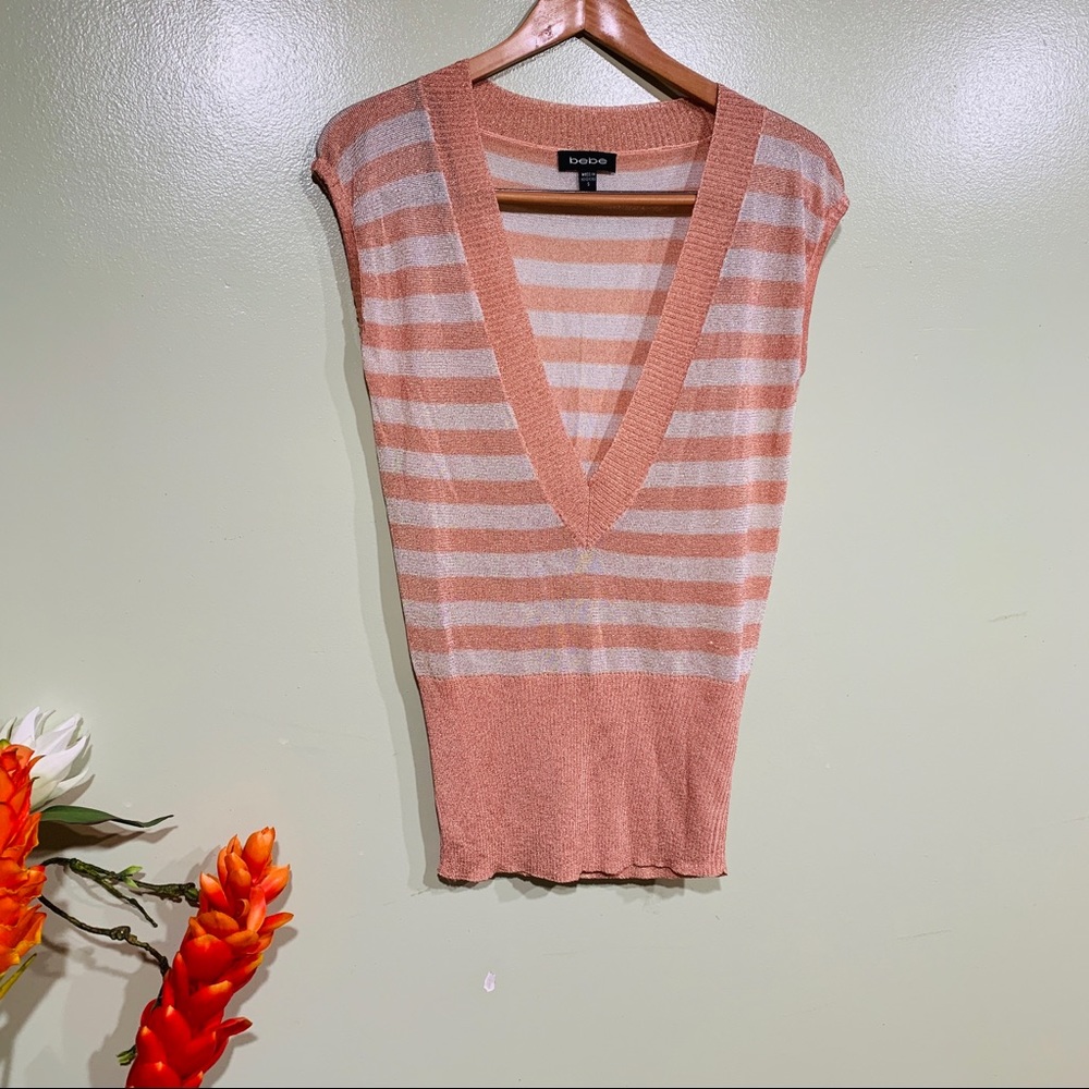 Beautiful Bebe Stripe V Shape Blouse